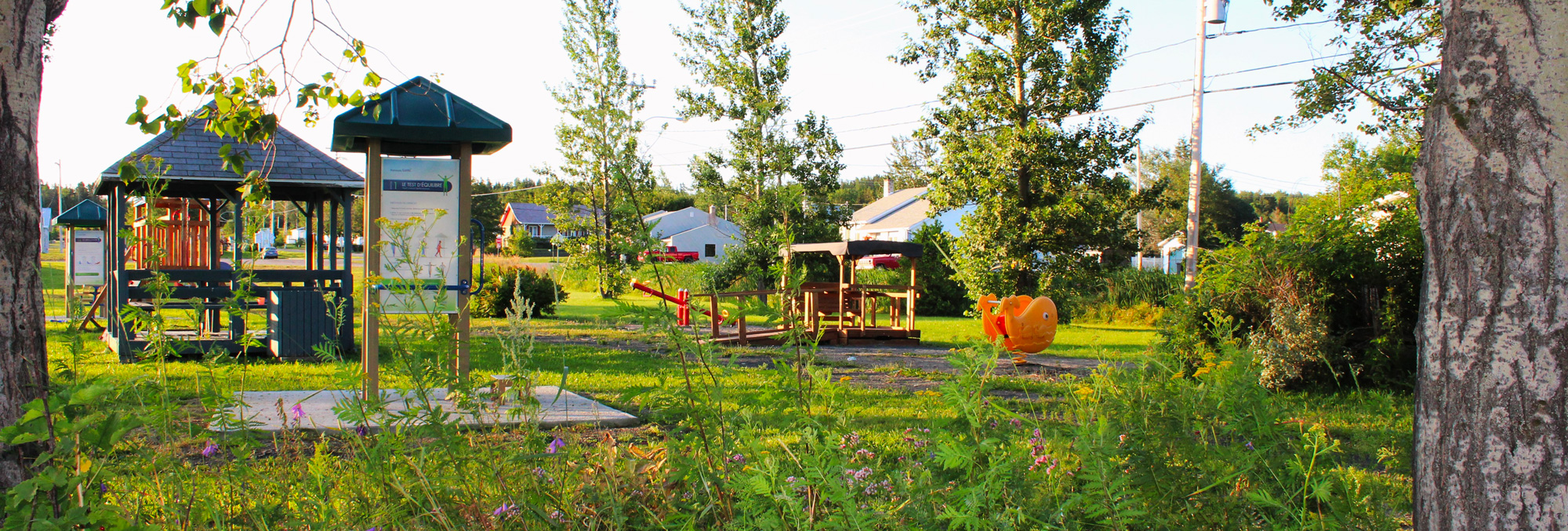 Avis public Assemblée publique de consultation sur le projet de